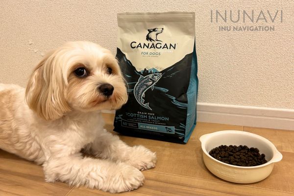 カナガンサーモンの口コミ評判は？犬の管理栄養士の評価や実際に与えて 