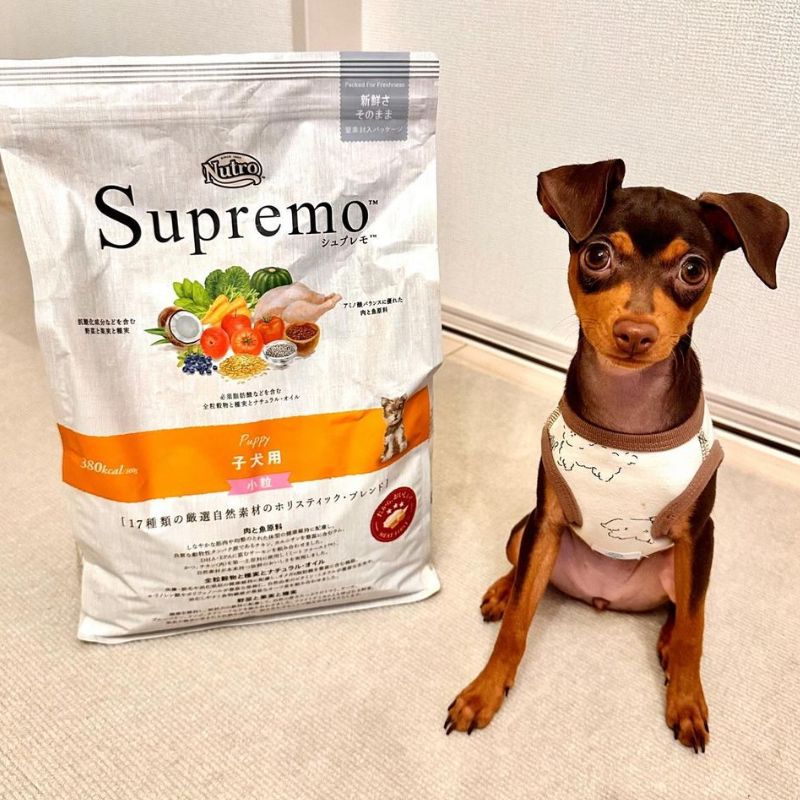ニュートロ シュプレモ 中型犬〜大型犬用 成犬用 16.5kg