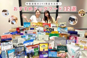 【243商品比較】ドッグフードおすすめランキング12選！安心な市販フードと愛犬に合う餌の選び方【獣医師監修】