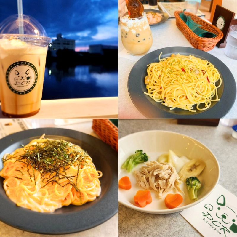 【DCR Dog Cafe&Run（ディーシーアールドッグカフェ＆ラン）】＠pal_eve_diary（パル&イヴ）名古屋のペット同伴OKなドッグカフェ