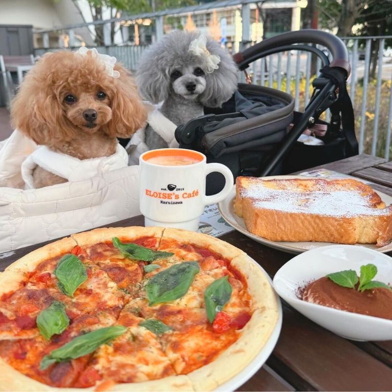 【ELOISE's Cafeエロイーズカフェ 名古屋レイヤード久屋大通公園店】＠poodle.moaran（トイプードル🐩もあ♡らん）名古屋のペット同伴OKなドッグカフェ