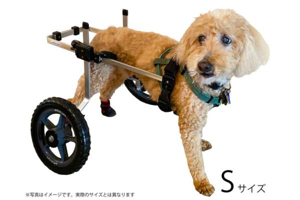 【K-9Cars】犬用車イス スタンダードSの商品画像