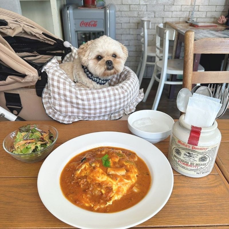 【Lu's CAFE（ルーズカフェ）】＠puddy_dayoo（プ デ ィ）横浜のペット同伴OKなドッグカフェ