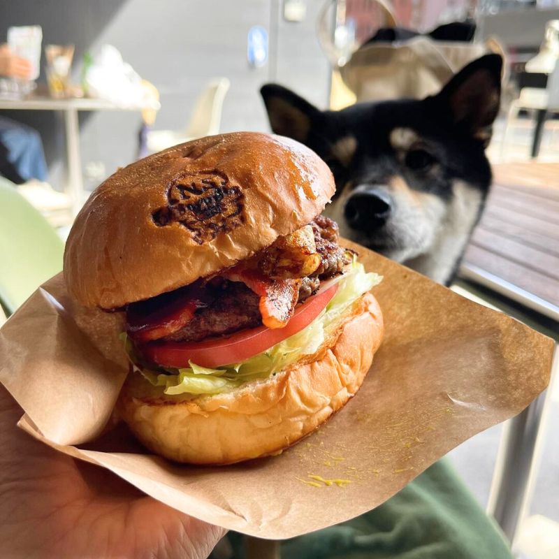 【The Burger Stand-N's-（ザ バーガースタンド エヌズ）】＠mi_rian1203（Ⓜ︎の飯ログin名古屋👩🏻‍💻🦊）名古屋のペット同伴OKなドッグカフェ