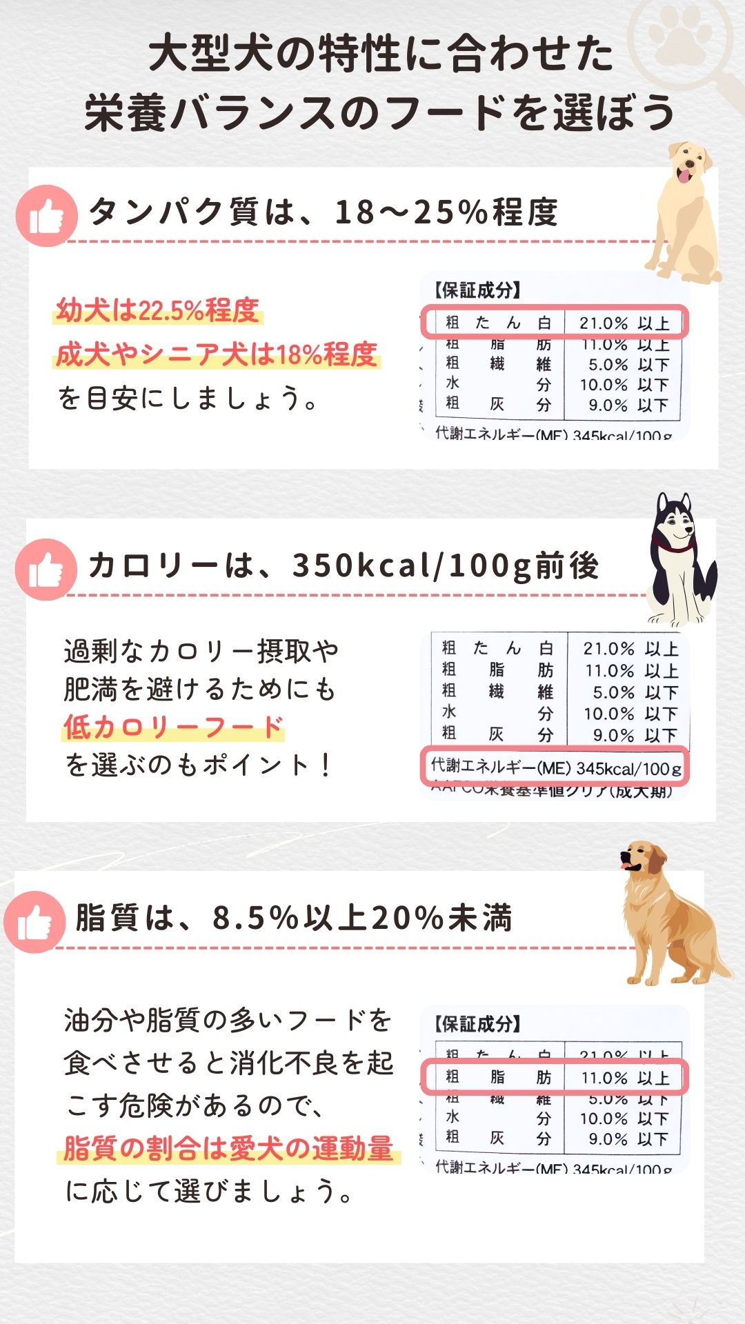 獣医師監修】大型犬におすすめのドッグフード人気ランキング10選 