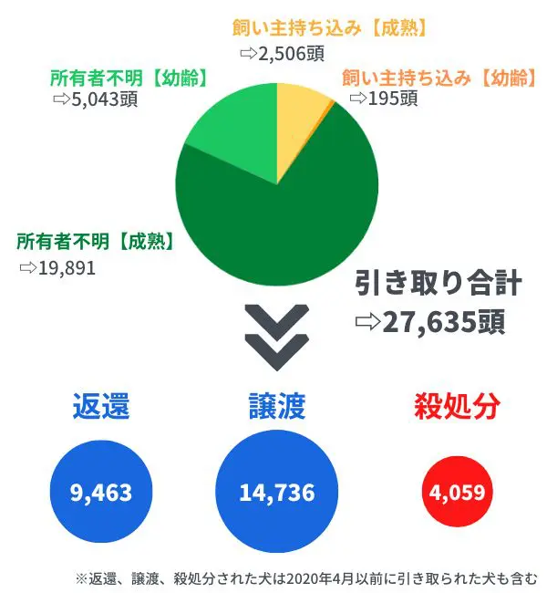 信用できる動物愛護団体を調査 現状や愛護センターとの違いも解説 Inunavi いぬなび