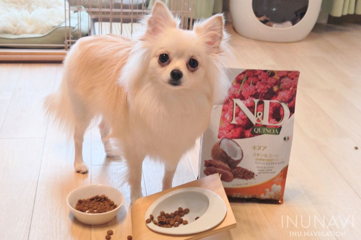 ロイヤルカナン スキンサポート 3kg✕2袋（犬用ドライフード） 程よく