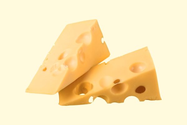 【獣医師監修】犬は人間用のチーズを食べられる？塩分や量に注意が必要