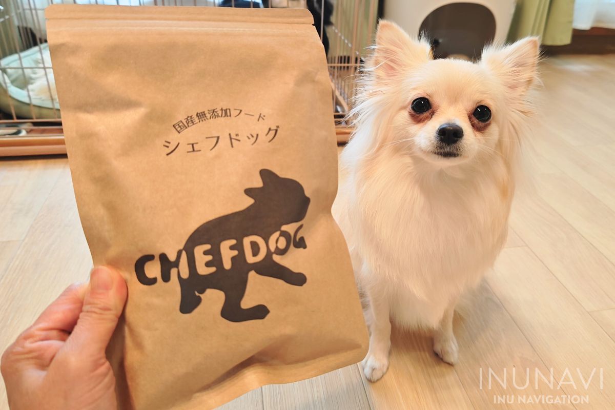 シェフドッグと愛犬