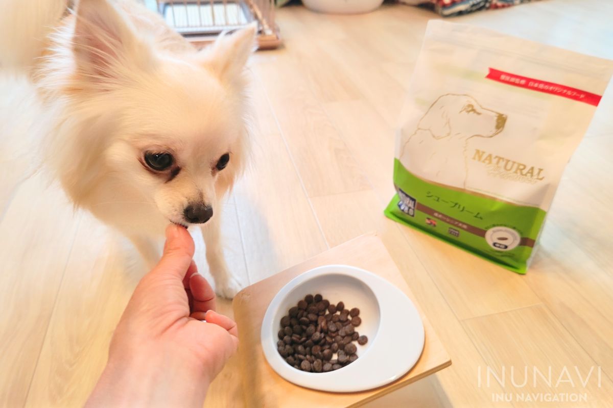 ナチュラルハーベスト シュープリームを食べる愛犬