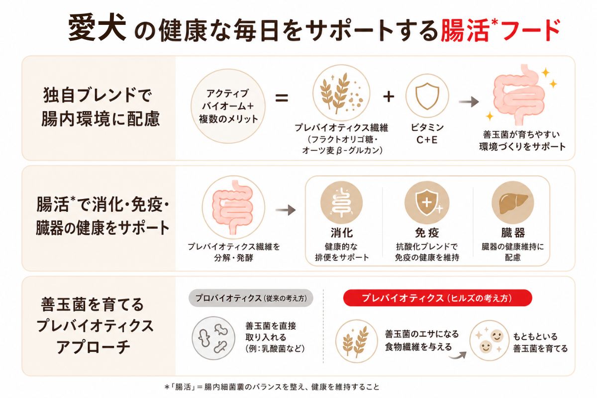 ペットの健康な毎日をサポートする腸活フード