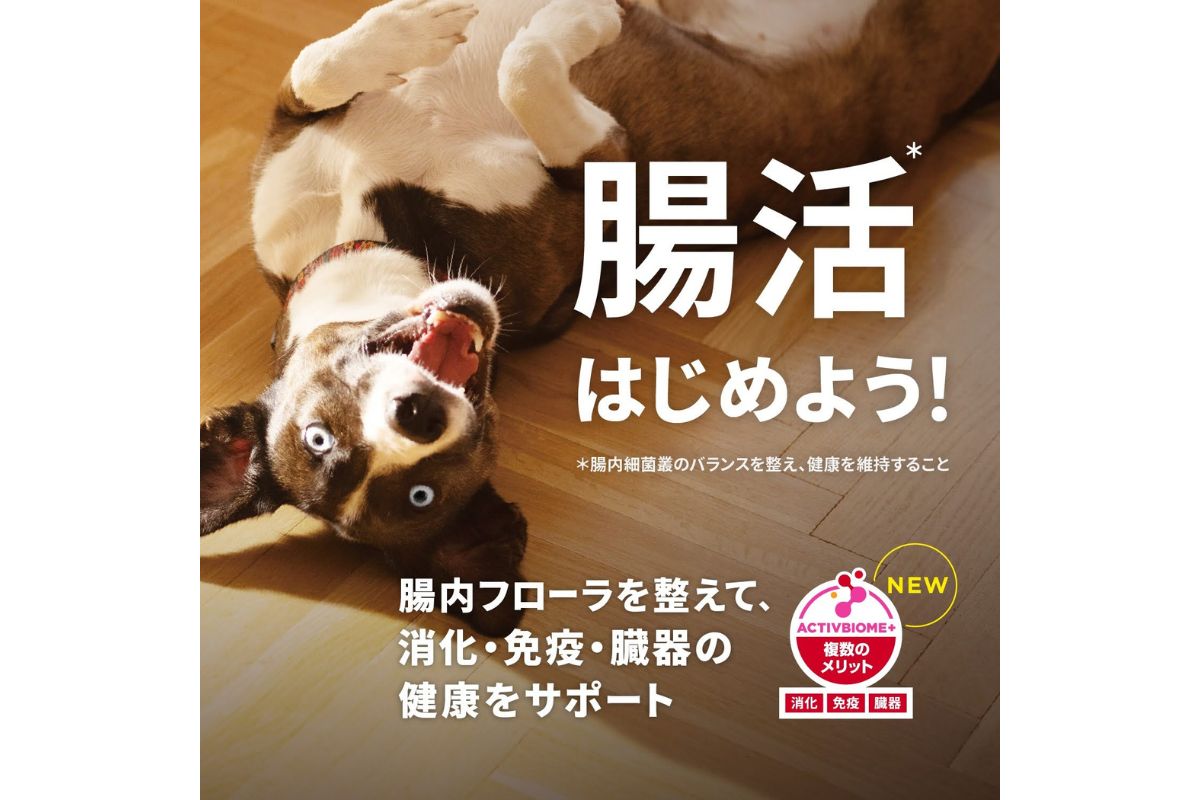 リニューアルで進化した腸活_設計