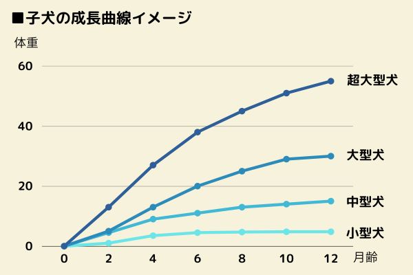 子犬の成長曲線イメージ (1)
