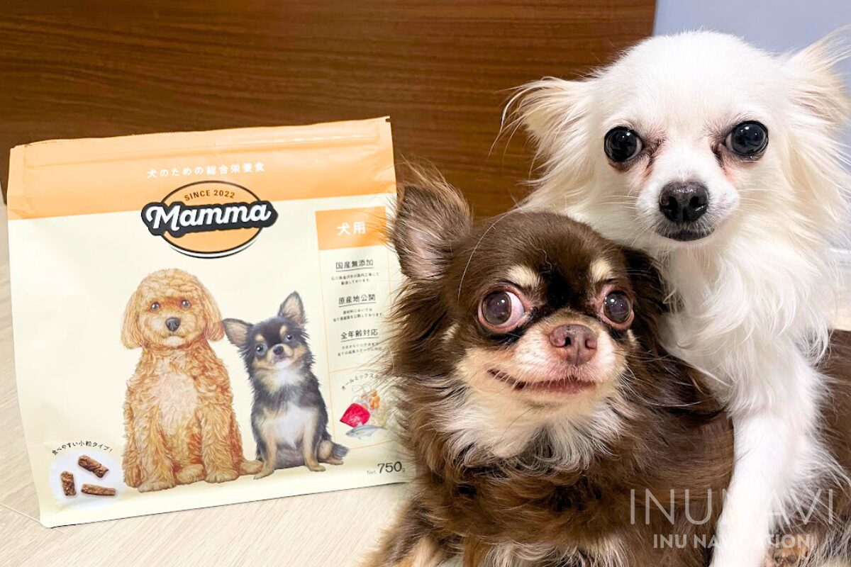 イヌのまんまの口コミ評価は？愛犬レビュー！専門家が原材料や成分値を徹底分析