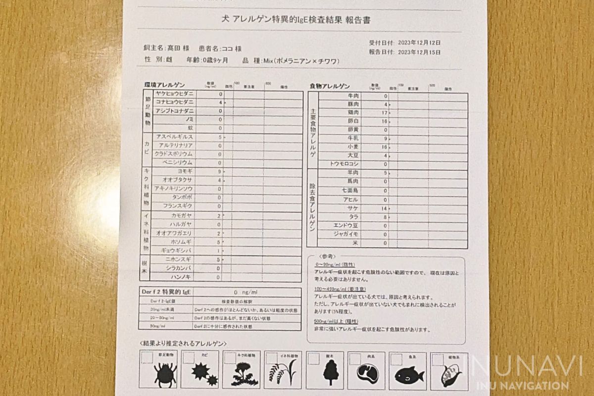 愛犬のアレルギー検査結果②