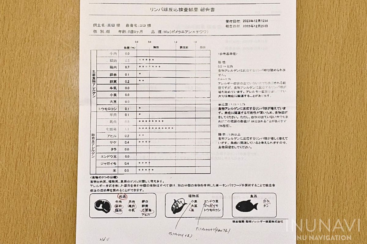 愛犬のアレルギー検査結果③