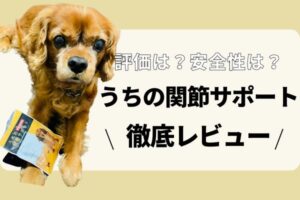 老犬におすすめの認知症用サプリメント8選 22年最新 Inunavi いぬなび