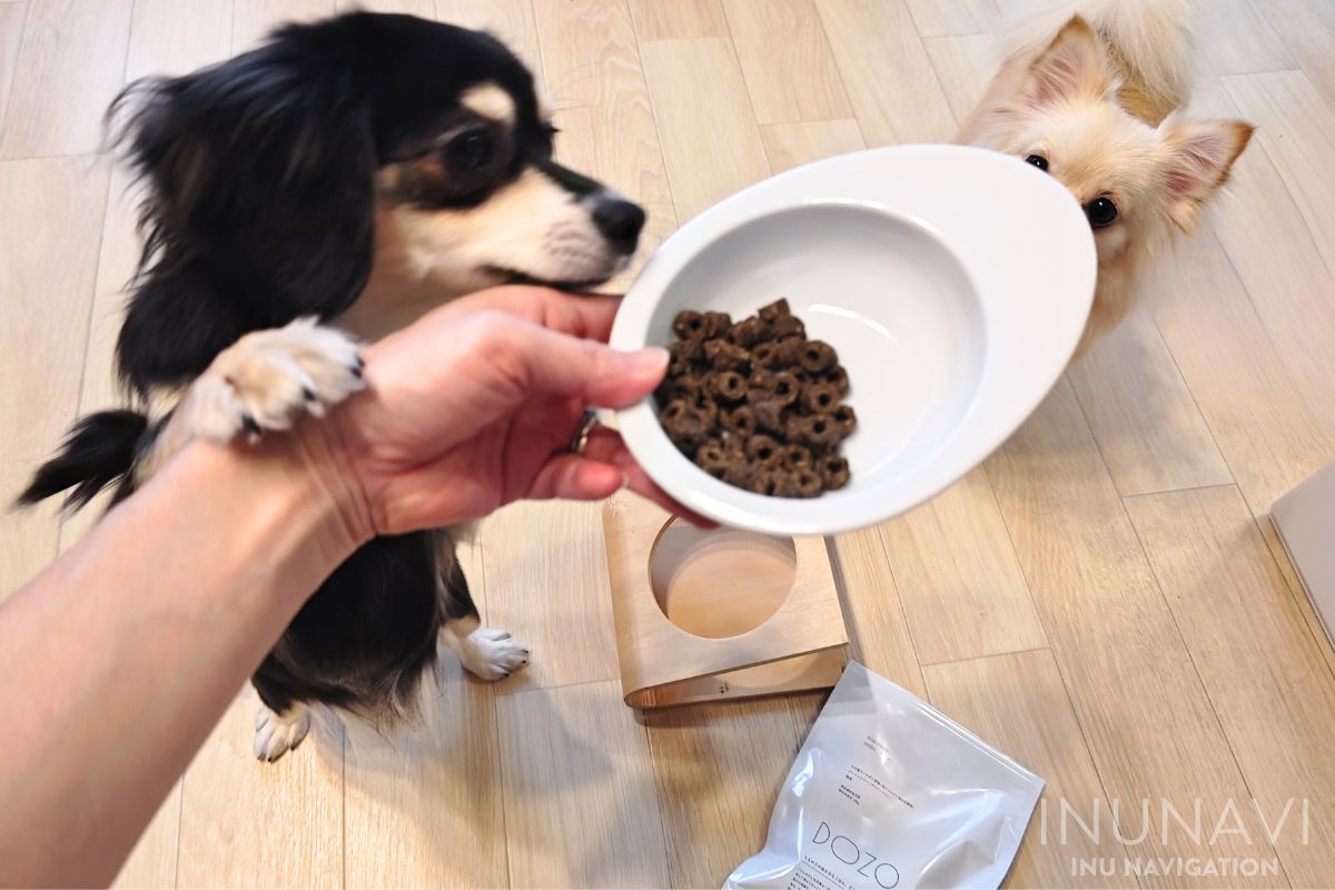 DOZO（ドーゾ）ドッグフードが食べたい愛犬