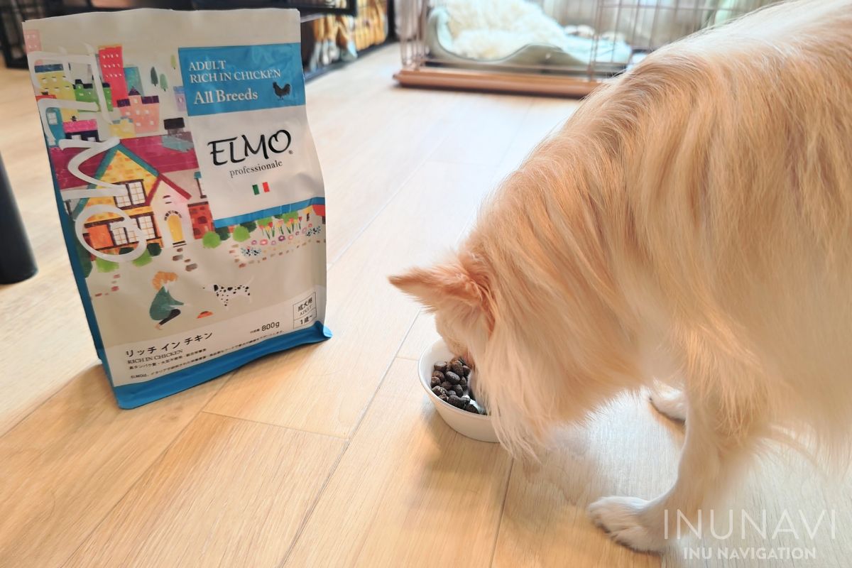 エルモ ELMO サーモンライス ドッグフード 【800g×4袋】3.2kg inunavi 