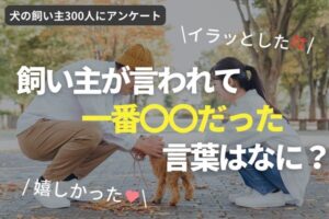 世界でも珍しい犬種59選 日本で見かけたら激レアな大型犬 小型犬 お迎え方法や注意点は 22年最新版 Inunavi いぬなび