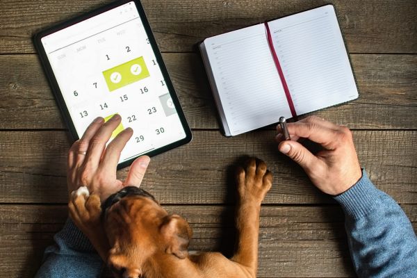 犬とカレンダーとタブレットとスケジュール帳