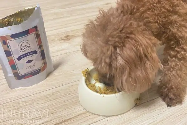 うちのトイプー ドッグフード トイプードル ウェット フィッシュ チキン 2袋 5tyemr8in4 Www Grbcbaytown Org