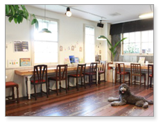 わんこカフェ Katanoda（かたのだ）　福岡の犬と触れ合えるカフェ