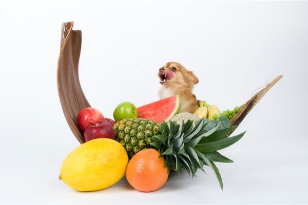 犬と果物