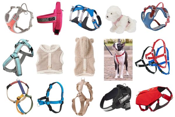 【引っ張り防止】犬用ハーネスのおすすめ46商品を比較！簡単装着&負担が少ないものは？